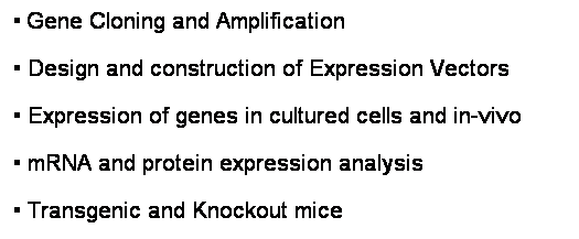 Text Box: � Gene Cloning and Amplification
� Design and construction of Expression Vectors
� Expression of genes in cultured cells and in-vivo
� mRNA and protein expression analysis
� Transgenic and Knockout mice
